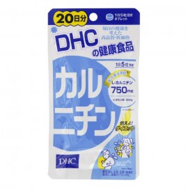 [디에이치씨]카르니틴 20일분 (100정)