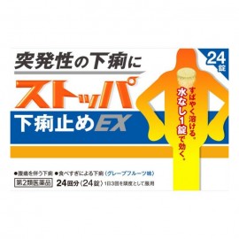 [라이온]스토퍼 설사약 Ex (24정)