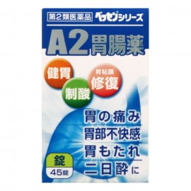 [신신]신신 A2위장약정 (45정)