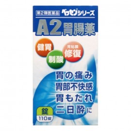 [신신]신신 A2위장약정 (110정)