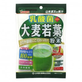 [야마모토 한방]유산균 + 보리 새싹 분말 (3g x 7봉)