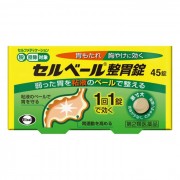 세르베르 위장약 (45정)