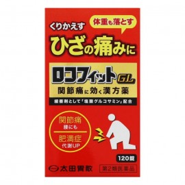 [오타이산]오타이산 로코휘토 (120정)