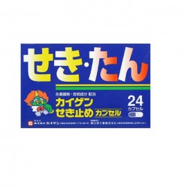 [카이겐제약]카이겐 실속 정 (24정)