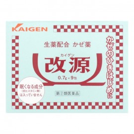 [카이겐제약]감기약 (0.7g x 9봉)