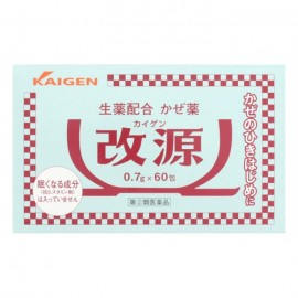 [카이겐제약]감기약 (0.7g x 60봉)