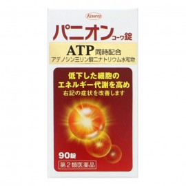 [코와]파니온 코와정 (90정)