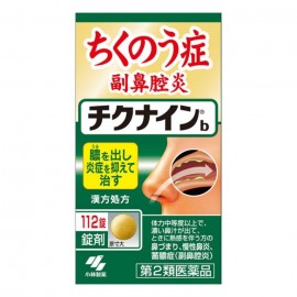 치크나인b (112정)