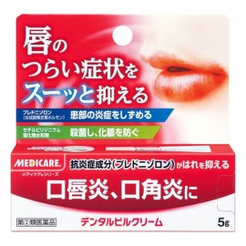 [모리시타 진탄]치과 알약 크림 (5g)