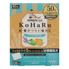 [스케노리 약품 공업]패스 타임 FX 음력 10 월 (40장)