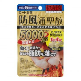 [로토]새로운 방풍 통 산정 만량 (60정)