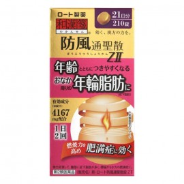 [로토]새로운 방풍 통 산정 Z2 (210정)