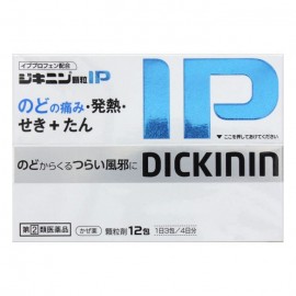 [전약공업]감기약 과립IP (12포)