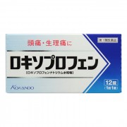 로키소프로펜정 (12정)