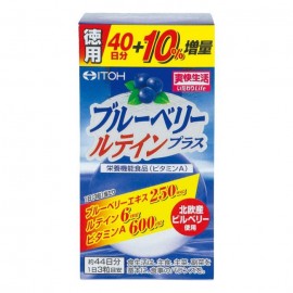 [이토 한방]블루베리 루테인 플러스 44일분 (132정)