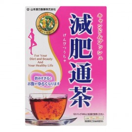 [야마모토 한방]감소 비료 통 차 (20봉)