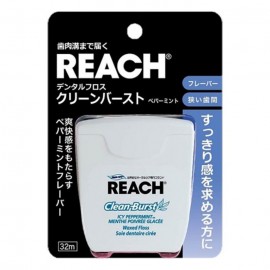 [리치]리치 덴탈 플로 스크린 버스트 박하 (32m)