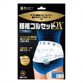 [비호프]NEW 요추 의학 코르셋 M