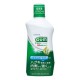 GUM 잇몸 프로케어 린스 (420ml)