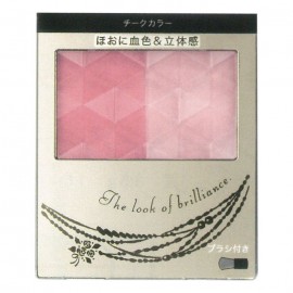 [시세이도]포밍 치크 PK210