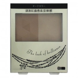 [시세이도]포밍 치크 BR310