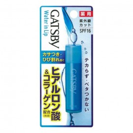 [맨담]갸스비 워터인 립