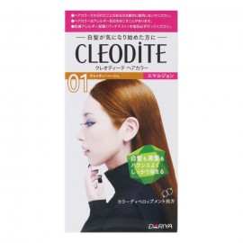 [다리야]클레오디테 염색약 01 차이 티 베이지 1 세트 (1세트)