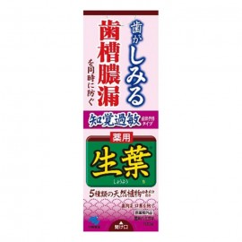 [코바야시]생엽 S 지각 과민 증상 예방 유형 (100g)