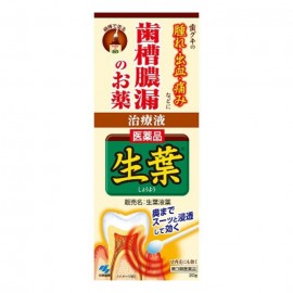 [코바야시]생 엽액약