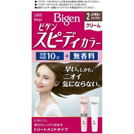 [호유]비겐 스피디컬러 크림 2 밝은 라이트 브라운 (1세트)