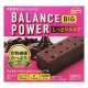 밸런스 파워 빅 촉촉한 코코아 (2봉)