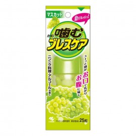 [코바야시]브레스케어 씹어먹는 타입 청포도맛 (25정)