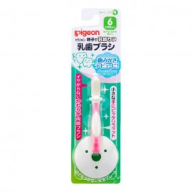 [피죤]젖니 브러쉬 레슨 1 (1개입)